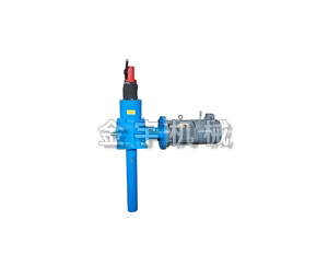 電動絲杆升降(jiàng)機